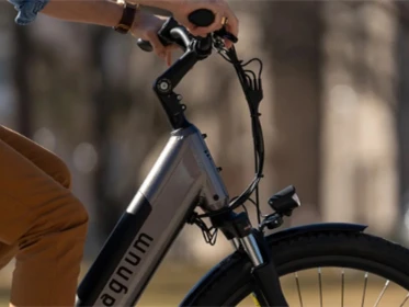 Ali lahko na 36v Ebike vstavim 48v baterijo