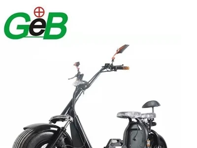 Koliko ur bo trajala 48V 20ah baterija?