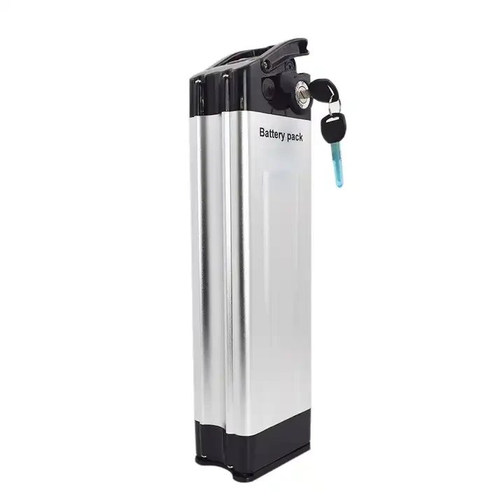 Silver Fish baterija 36v